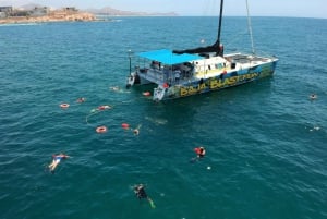 Shared Snorkeling Catamaran with Open Bar & Music- Los Cabos