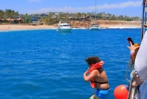 Shared Snorkeling Catamaran with Open Bar & Music- Los Cabos