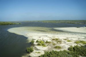 Excursión en tierra: Excursión en Buggy en Punta Sur y Acceso al Club de Playa