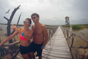 Excursión en tierra: Excursión en Buggy en Punta Sur y Acceso al Club de Playa