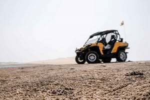 Excursión en tierra: Excursión en Buggy por la Isla de Cozumel y Club de Playa