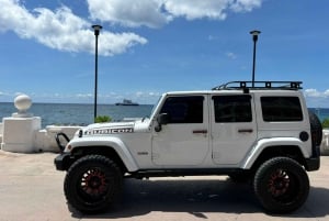 Shore Excursion: Island Jeep Tour & Beach Club Access