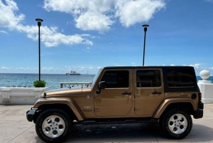 Shore Excursion: Island Jeep Tour & Beach Club Access