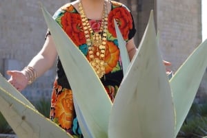 Show off your beauty wearing a typical Oaxacan costume + photo session