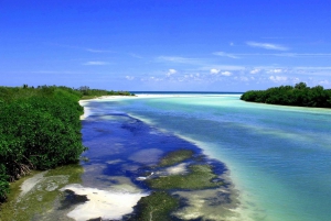 Sian Ka’an Biosphere Reserve Full-Day Discovery Tour