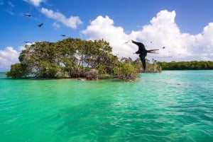 Sian Ka’an Biosphere Reserve Full-Day Discovery Tour