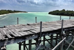 Sian Ka’an Biosphere Reserve Full-Day Discovery Tour