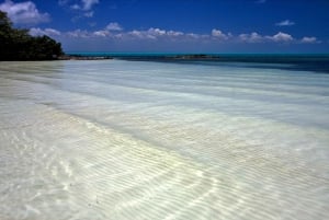 Sian Ka’an Biosphere Reserve Full-Day Discovery Tour