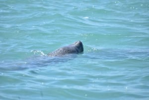 Sian Ka’an Biosphere Reserve Full-Day Discovery Tour