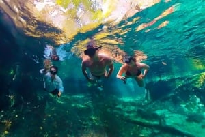 Sisal Yucatan: beach picnic and mangrove snorkeling