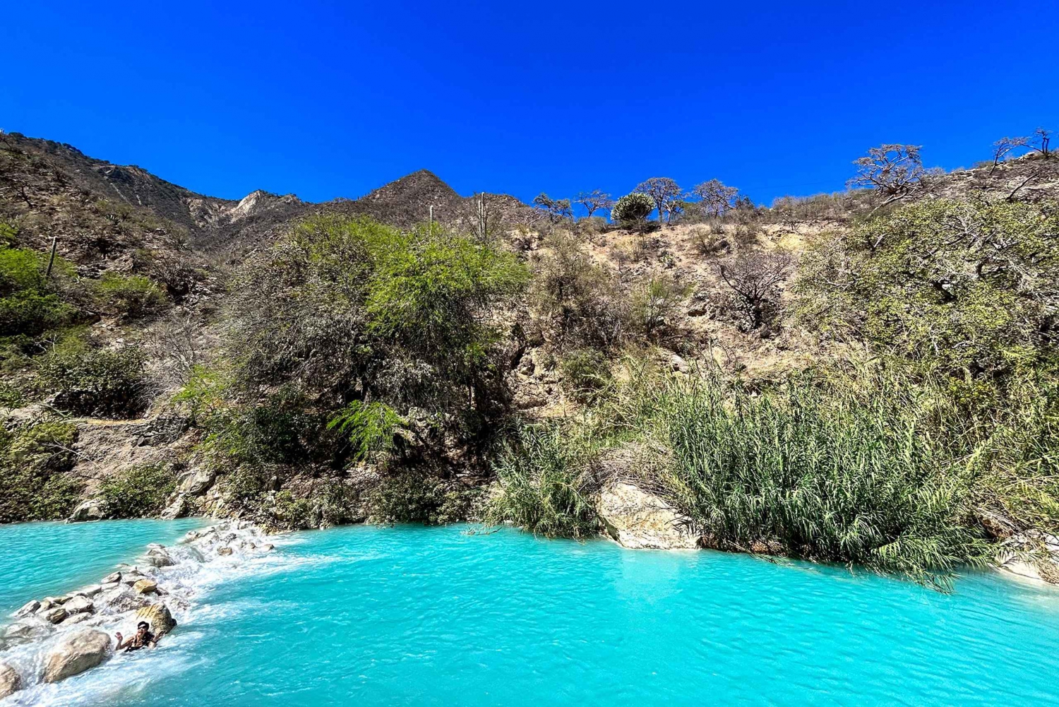 From CDMX: small group tour to the Tolantongo Caves.
