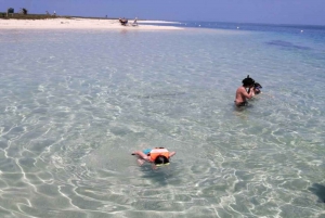 Veracruz: Aventura de snorkel en la Isla de En Medio