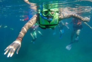 Esnórquel: Excursión de snorkel en los arrecifes