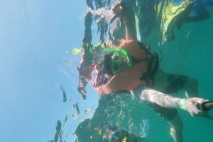 Esnórquel: Excursión de snorkel en los arrecifes