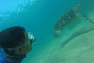 Esnórquel: Excursión de snorkel en los arrecifes