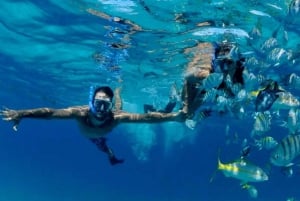 Snorkeling at Puerto Morelos reefs national park