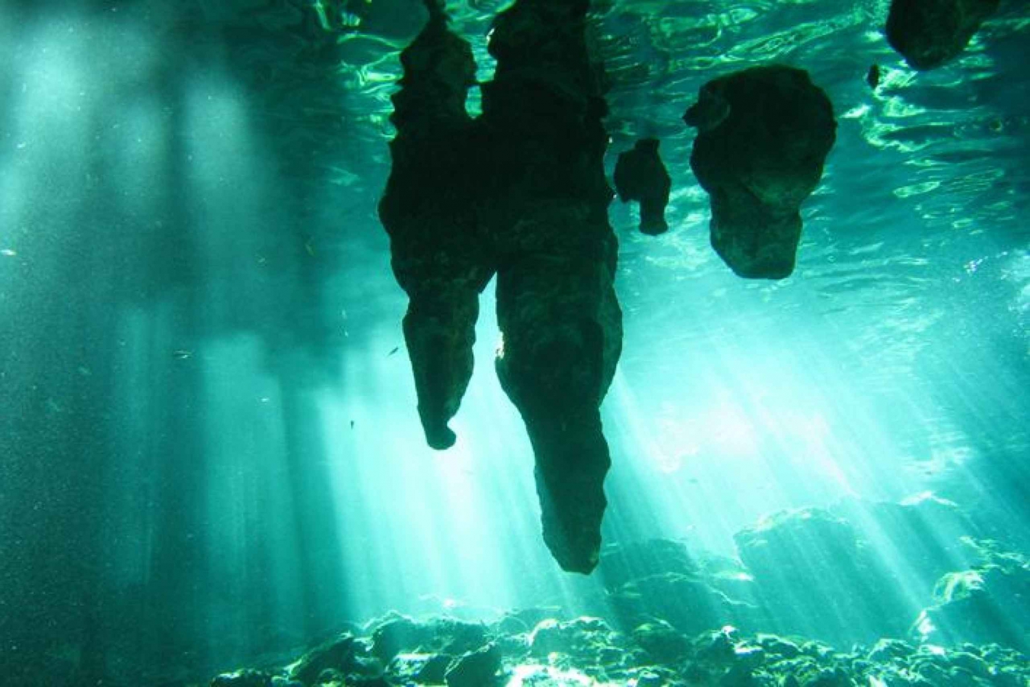 Snorkeling & Underground Cenotes Half-Day Tour from Tulum