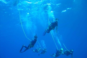 SNUBA Diving at Pelican Rock in Cabo San Lucas