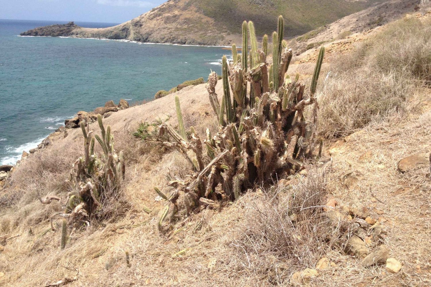 St. Maarten: Guana Bay Coastal Hike