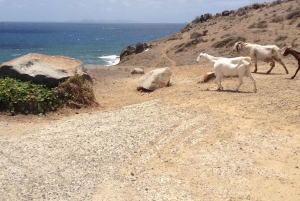 St. Maarten: Guana Bay Coastal Hike