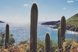 St. Maarten: Guana Bay Coastal Hike