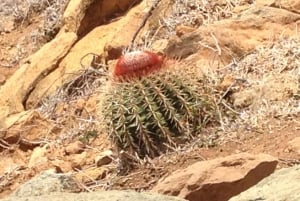 St. Maarten: Guana Bay Coastal Hike