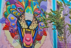 Tour Street Art: Downtown Mexico City