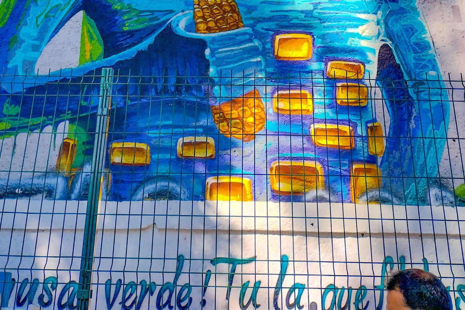 Tour Street Art: the Hidden Face of Mexico City