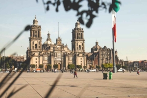 Street Food Tour Ciudad de México: Sabores locales e historia
