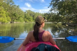 Holbox: Salida del Sol y Excursión en Kayak por los Manglares