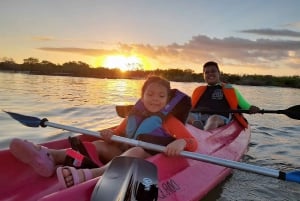 Holbox: Salida del Sol y Excursión en Kayak por los Manglares