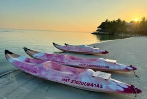 Holbox: Salida del Sol y Excursión en Kayak por los Manglares