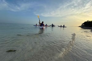 Holbox: Salida del Sol y Excursión en Kayak por los Manglares