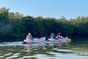 Holbox: Salida del Sol y Excursión en Kayak por los Manglares