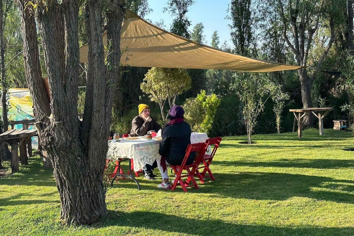 Amanecer en Xochimilco