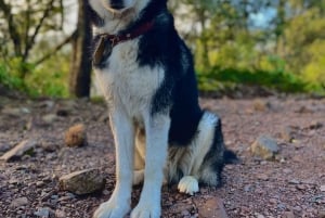 Amanecer en las alturas: Pico del Águila. Ciudad de México.