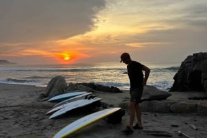 Surfboards for rent. All level skills equipment