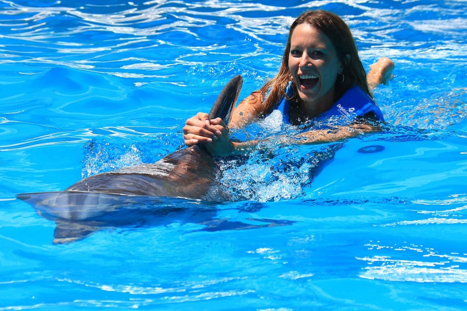 Nado con delfines Paseo - Acuario Interactivo Cancún