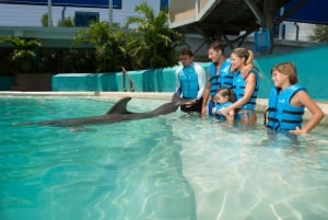 Swim with dolphins Ride - Interactive Aquarium Cancun