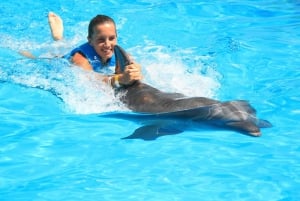 Nado con delfines Paseo - Acuario Interactivo Cancún