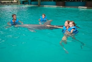 Swim with dolphins Ride - Interactive Aquarium Cancun
