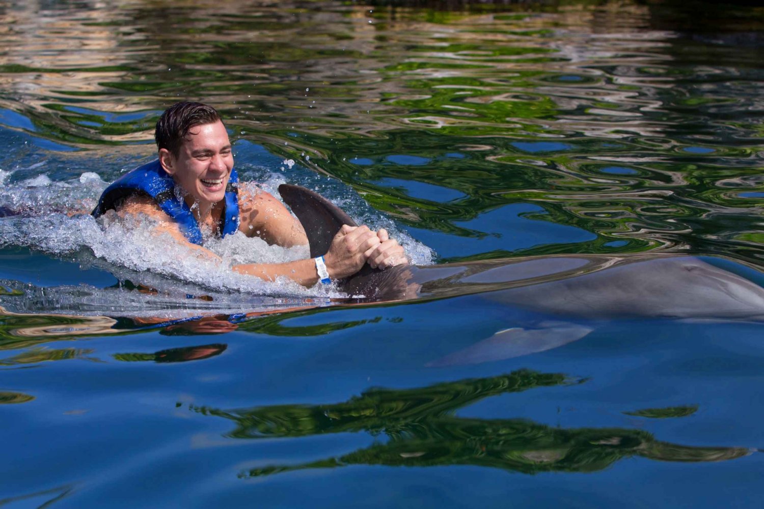 Paseo para nadar con delfines - Riviera Maya