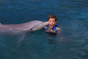 Swim with dolphins Ride - Riviera Maya