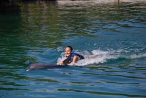 Swim with dolphins Ride - Riviera Maya