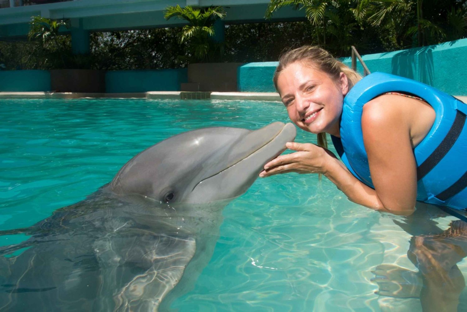 Cancún: Nada con delfines en el Acuario Interactivo de Cancún