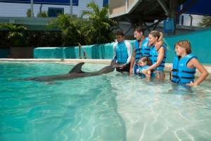 Cancún: Swim with Dolphins at Interactive Aquarium Cancún