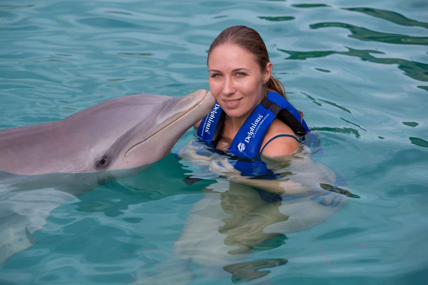 Swim with dolphins Splash - Riviera Maya