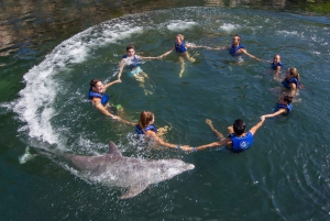 Nado con delfines Splash - Riviera Maya