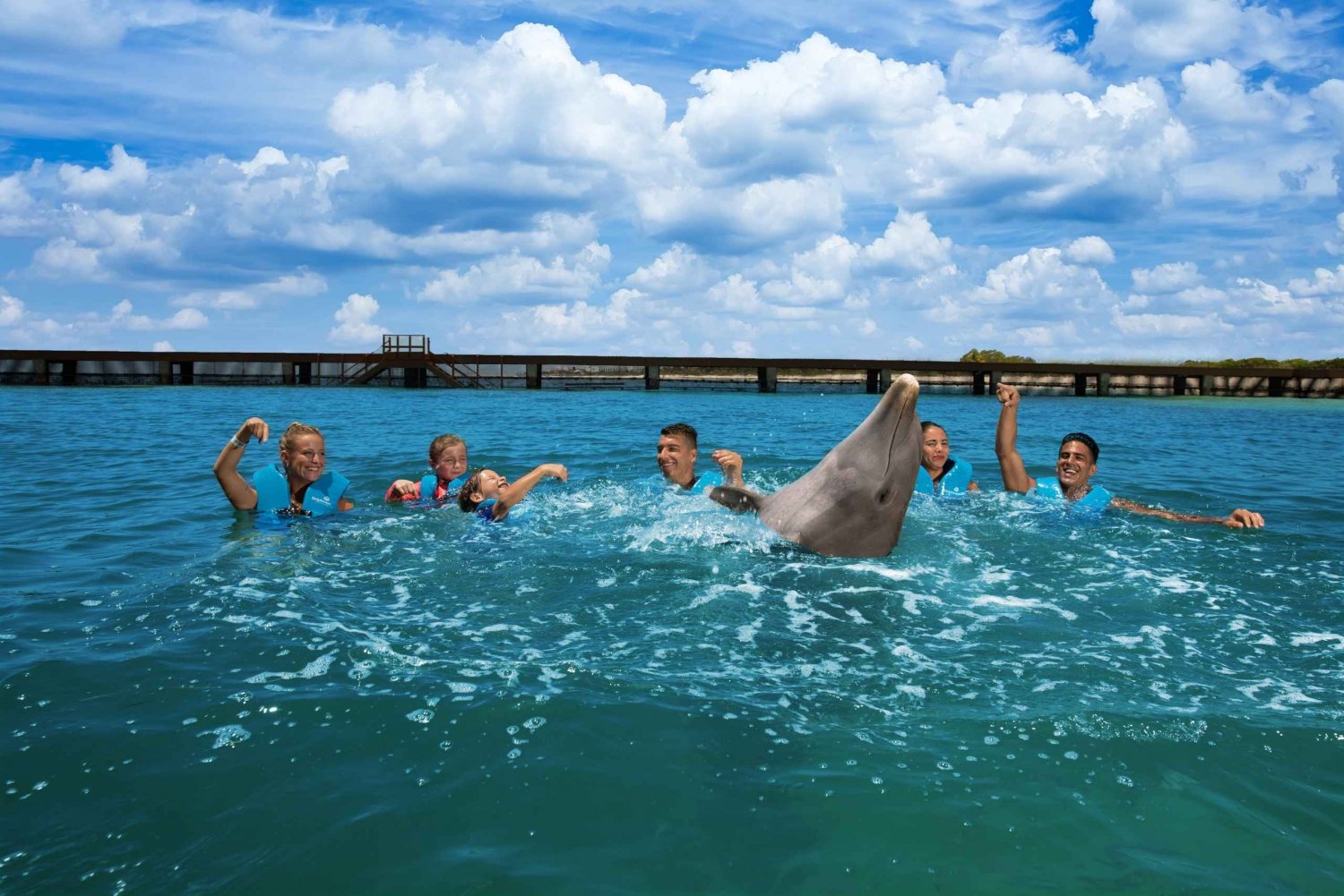 Swim with dolphins Supreme - Playa Mujeres