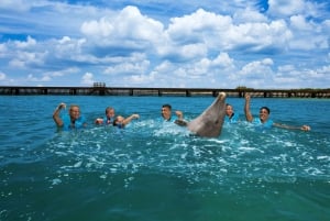 Nado con delfines Supremo - Playa Mujeres